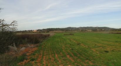 Land of 16,000 m² in Felanitx (07200)