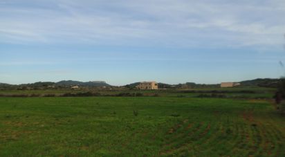 Land of 16,000 m² in Felanitx (07200)