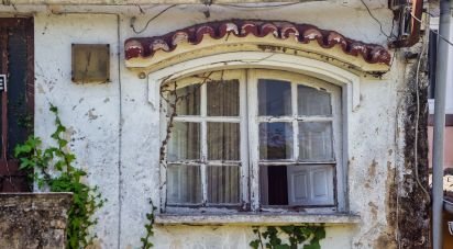 House 6 bedrooms of 209 m² in Perlio (15500)