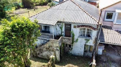 House 6 bedrooms of 209 m² in Perlio (15500)