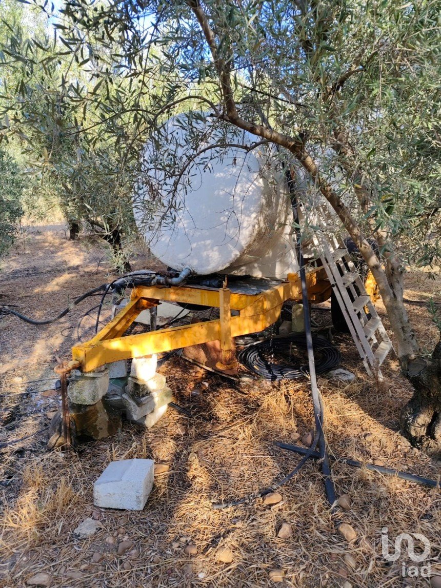 Terrain de 4 895 m² à Écija (41400)