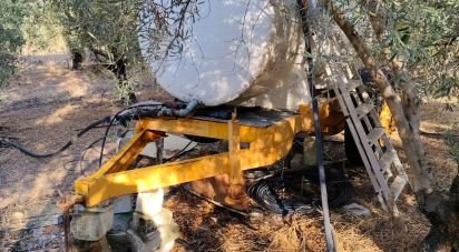 Land of 4,895 m² in Écija (41400)