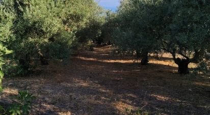 Land of 4,895 m² in Écija (41400)