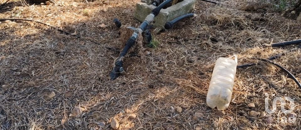 Terrain de 4 895 m² à Écija (41400)