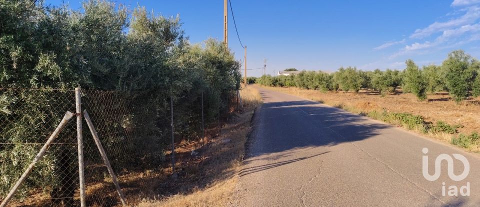 Terrain de 4 895 m² à Écija (41400)