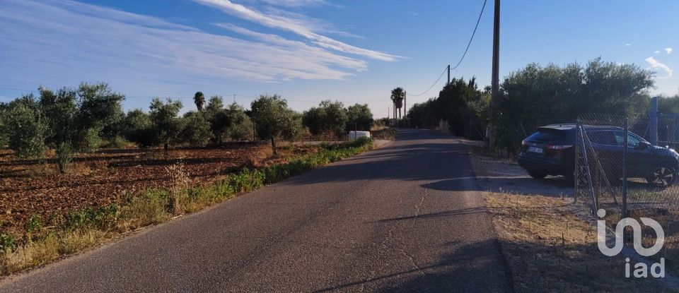 Terrain de 4 895 m² à Écija (41400)