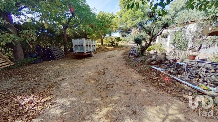 Terreno agricola de 28.900 m² en Cambrils (43850)