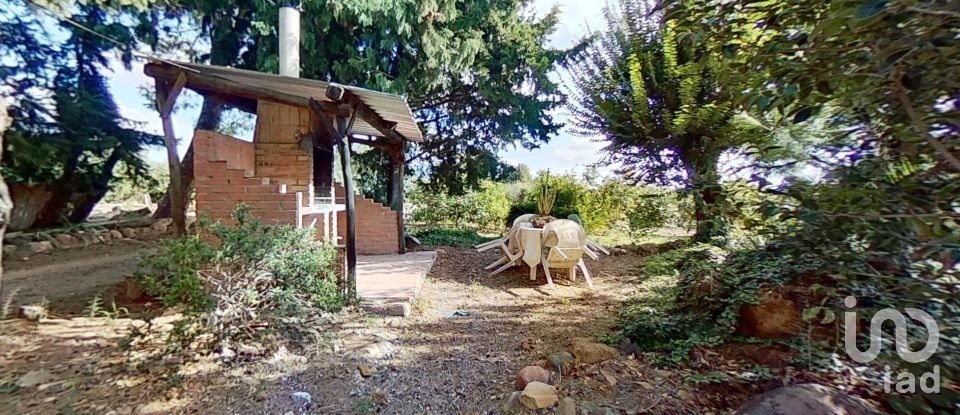 Terreno agricola de 28.900 m² en Cambrils (43850)