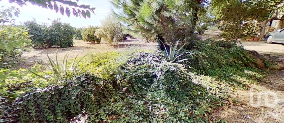 Terreno agricola de 28.900 m² en Cambrils (43850)