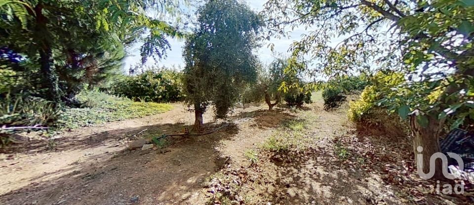 Terreno agricola de 28.900 m² en Cambrils (43850)