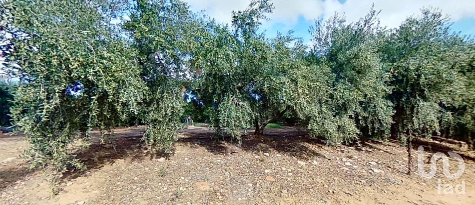 Terreno agricola de 28.900 m² en Cambrils (43850)