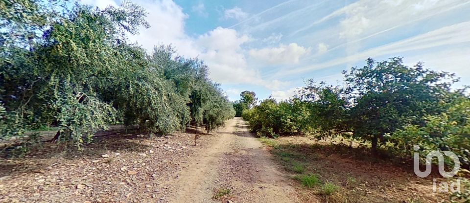 Terreno agricola de 28.900 m² en Cambrils (43850)