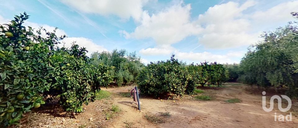 Terreno agricola de 28.900 m² en Cambrils (43850)