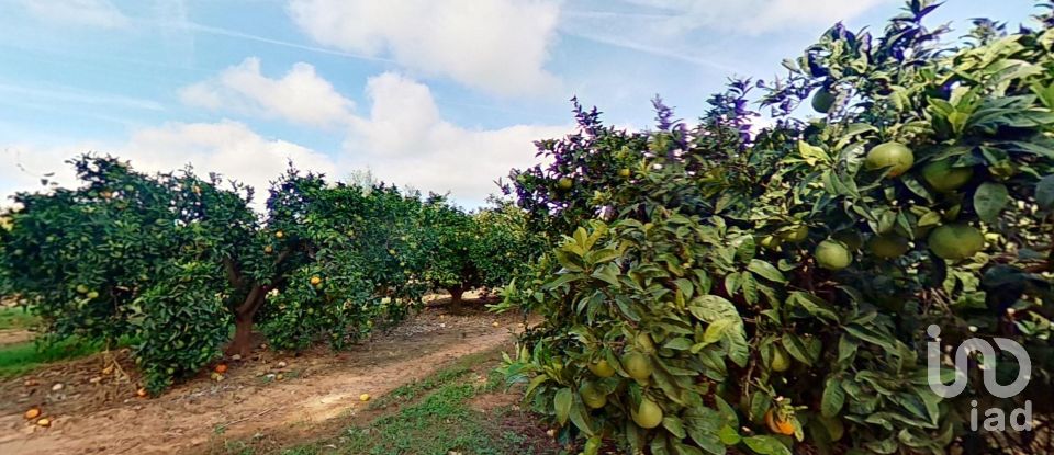 Terreno agricola de 28.900 m² en Cambrils (43850)