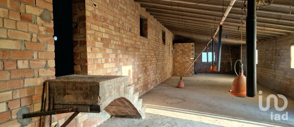 Terreno de 485 m² en Castellsera (25334)