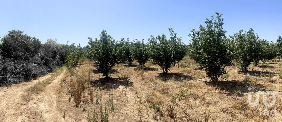 Land of 3,524 m² in Vallmoll (43144)