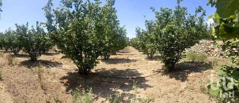 Land of 3,524 m² in Vallmoll (43144)