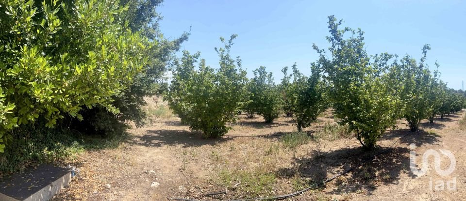 Land of 3,524 m² in Vallmoll (43144)