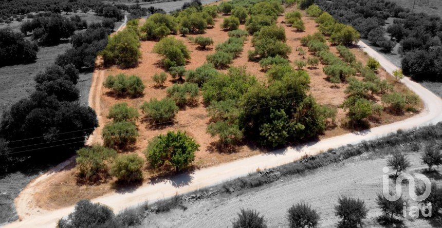 Terreny de 11.201 m² a Alcover (43460)