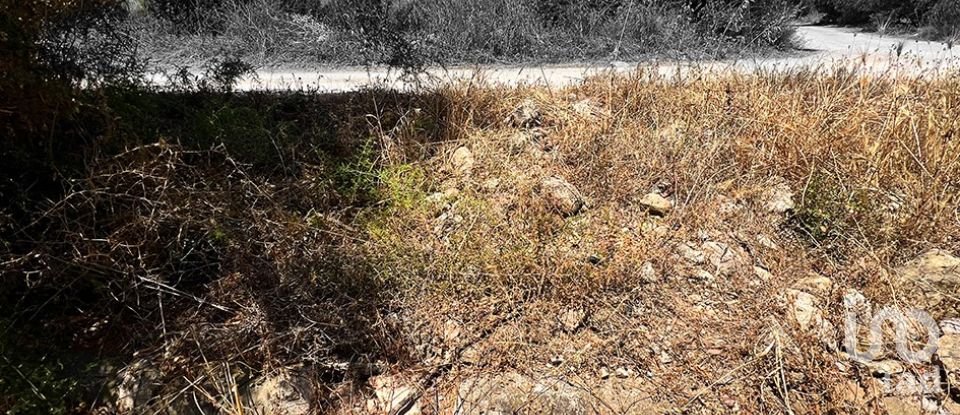 Terreny de 11.201 m² a Alcover (43460)