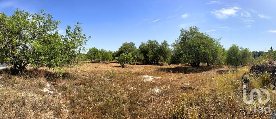 Terreny de 11.201 m² a Alcover (43460)