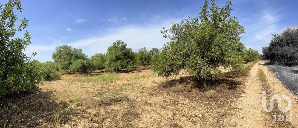 Terreny de 11.201 m² a Alcover (43460)