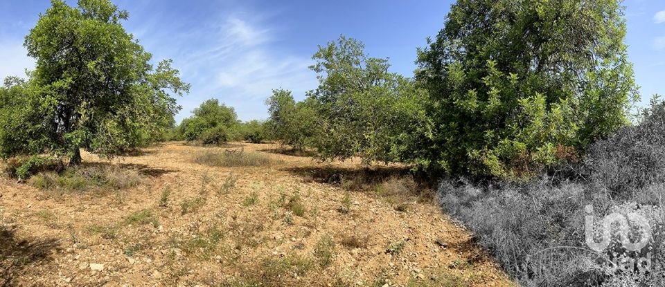 Terreny de 11.201 m² a Alcover (43460)