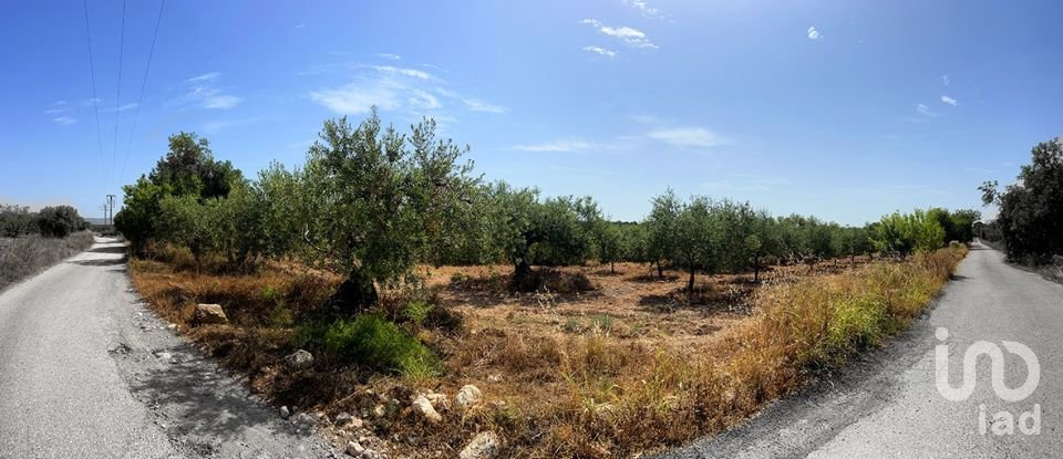 Terreny de 11.201 m² a Alcover (43460)