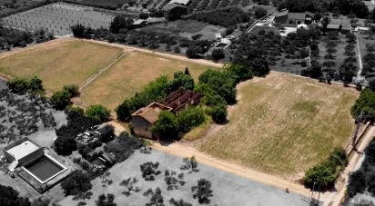 Land of 8,442 m² in Valls (43800)