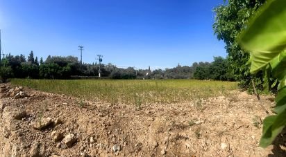 Land of 8,442 m² in Valls (43800)