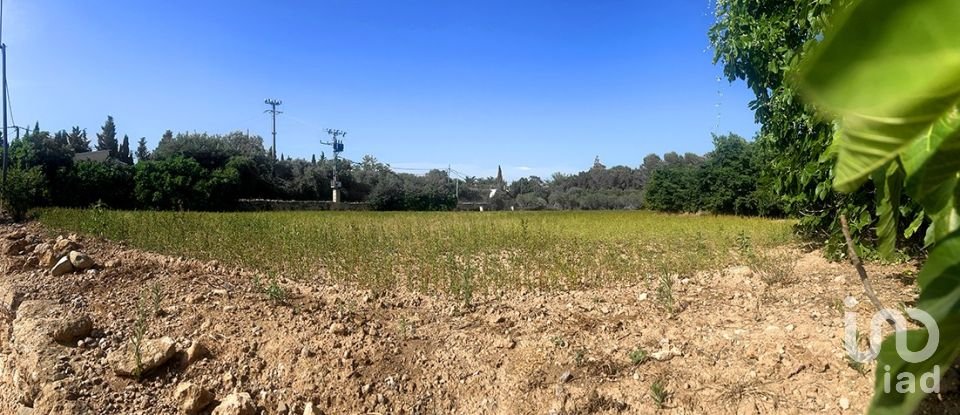 Land of 8,442 m² in Valls (43800)