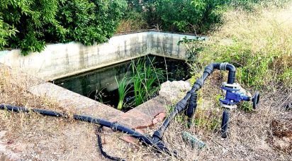 Land of 8,442 m² in Valls (43800)