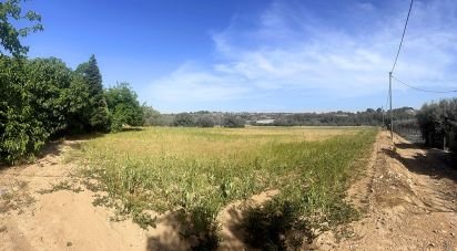 Land of 8,442 m² in Valls (43800)