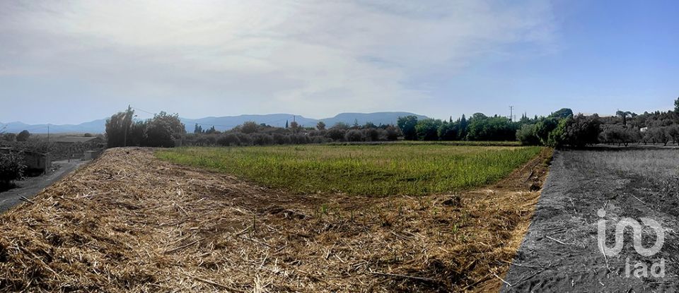 Land of 8,442 m² in Valls (43800)