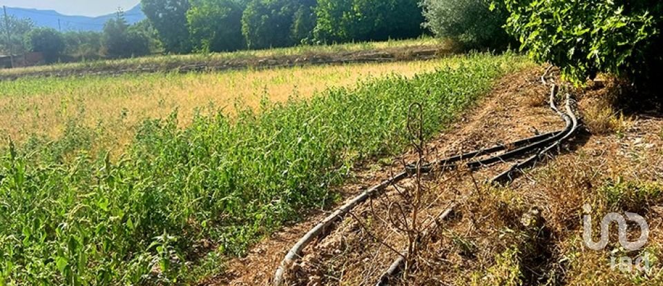 Land of 8,442 m² in Valls (43800)