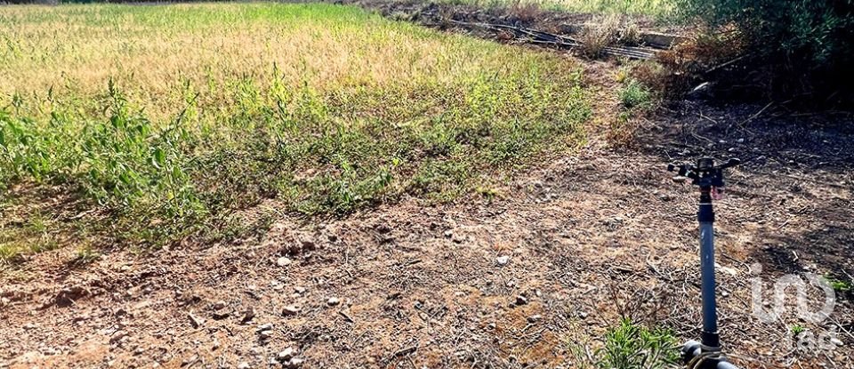 Land of 8,442 m² in Valls (43800)