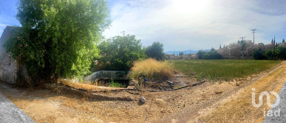 Land of 8,442 m² in Valls (43800)