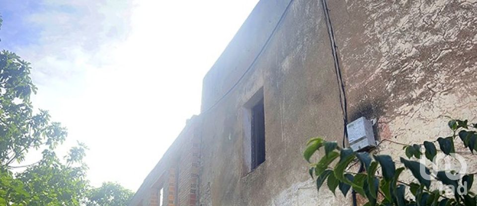 Land of 8,442 m² in Valls (43800)