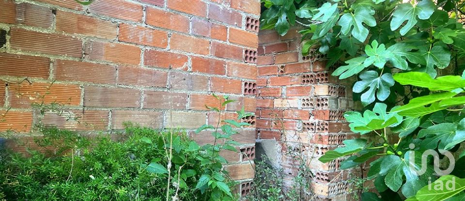 Land of 8,442 m² in Valls (43800)