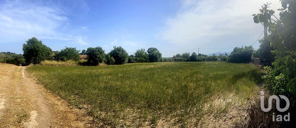 Land of 8,442 m² in Valls (43800)