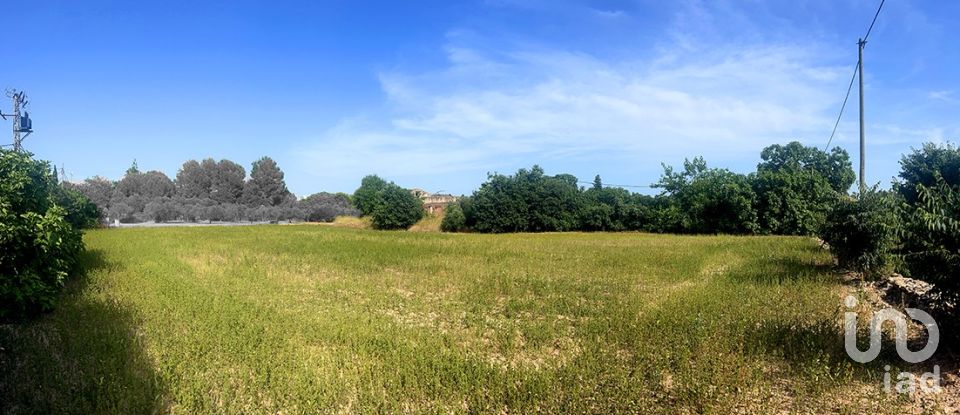 Land of 8,442 m² in Valls (43800)