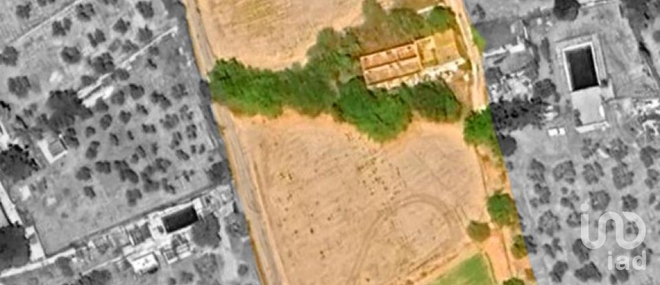 Land of 8,442 m² in Valls (43800)