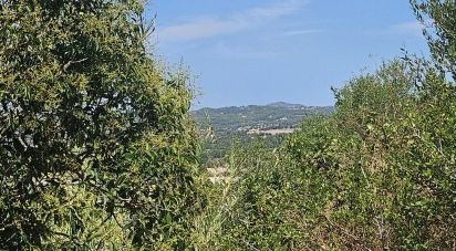 Land of 2,801 m² in Las Canteras (07209)