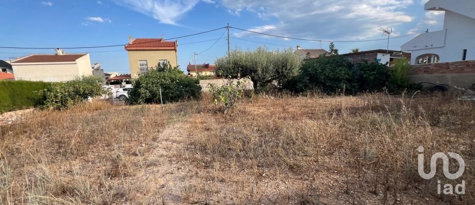 Terrain de 474 m² à Alcanar (43530)