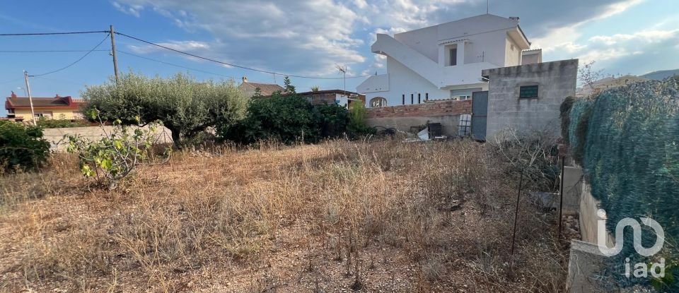 Terrain de 474 m² à Alcanar (43530)