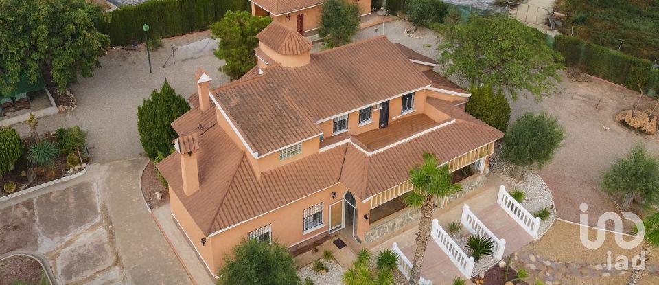 House 4 bedrooms of 317 m² in Elx/Elche (03296)
