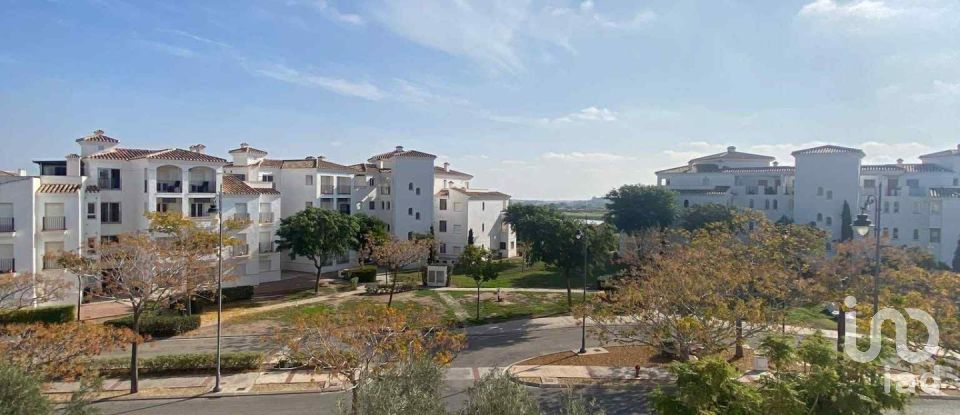 Apartment 2 bedrooms of 78 m² in Sucina (30590)