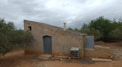 Land of 26,283 m² in L'Ampolla (43895)