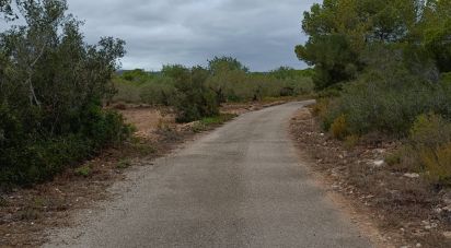 Land of 26,283 m² in L'Ampolla (43895)