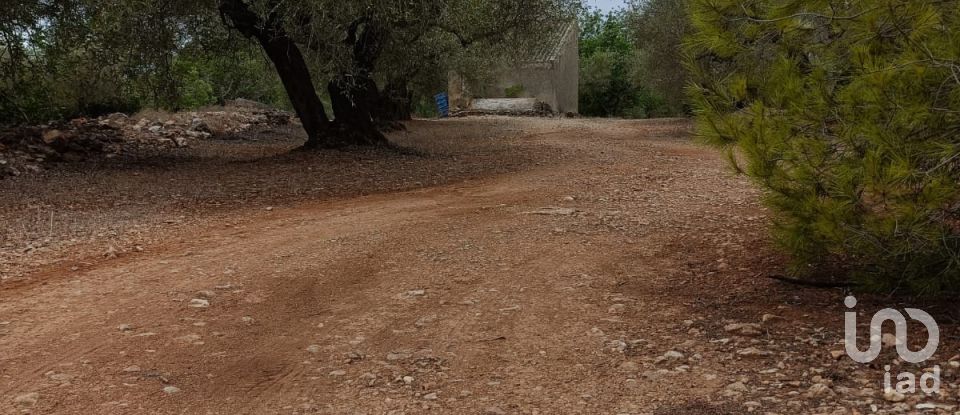 Land of 26,283 m² in L'Ampolla (43895)